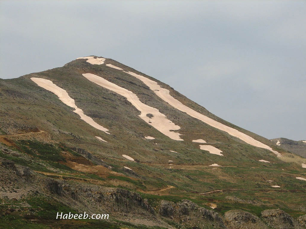 Lebanon Photos Mount Lebanon Photos